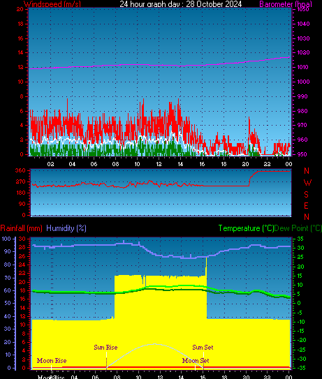 24 Hour Graph for Day 28